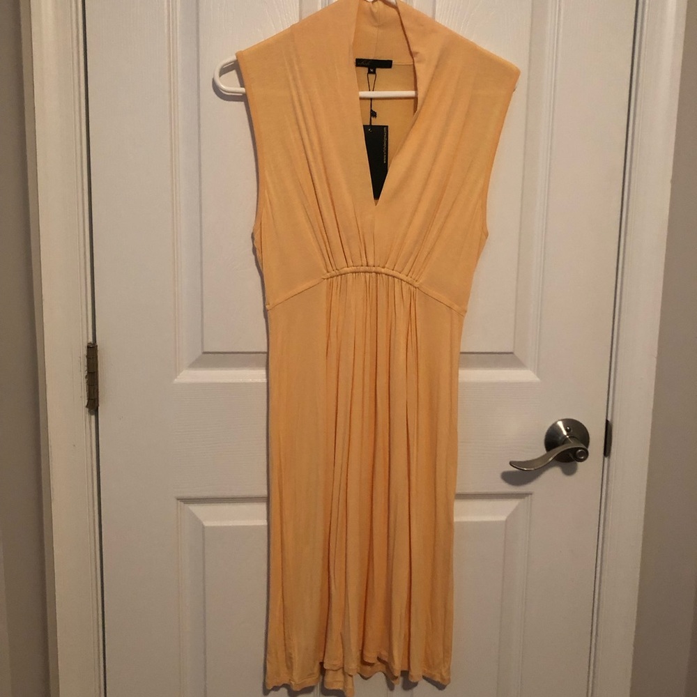 Vfish dress